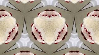 16 years! (Look in description)