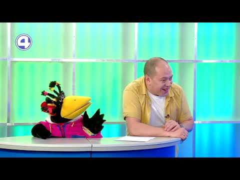 Экипировка игрока в хоккей: что носят настоящие хоккеисты?