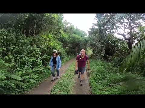 Mountain Forest Hikes in Mauritius with South Africa Surf Ski