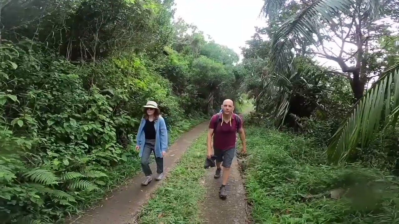 Mountain Forest Hikes in Mauritius with South Africa Surf Ski