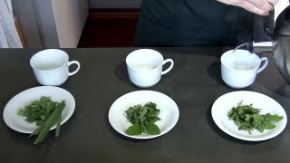 Miniatura do vídeo