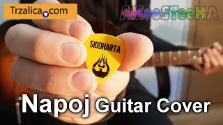 Siddharta - Napoj COVER