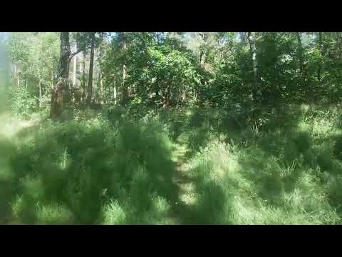 Skåneleden, SL2, etapp 20, Blentarp -  Snogeholm, 12 km den 29 juni 2019