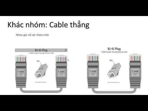 Thiết bị mạng phần 2: Cable mạng, hub/switch, router