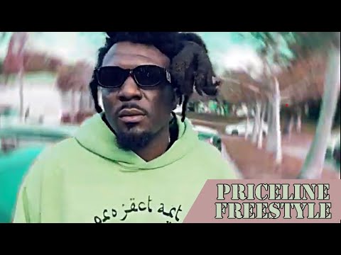 Priceline Freestyle (prod. By 90 culture)