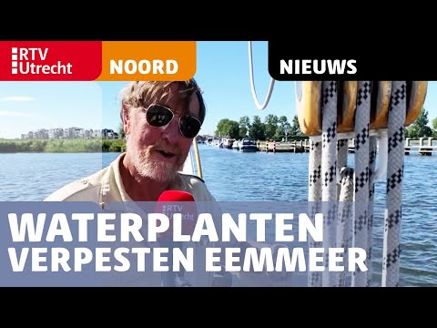 Waterplanten verpesten Eemmeer: 'Over een paar jaar geen toerisme meer' [RTV Utrecht]