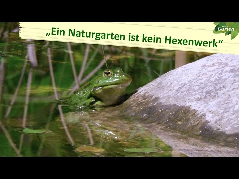 Dream garden: How to create an animal-friendly natural garden | MDR Garden