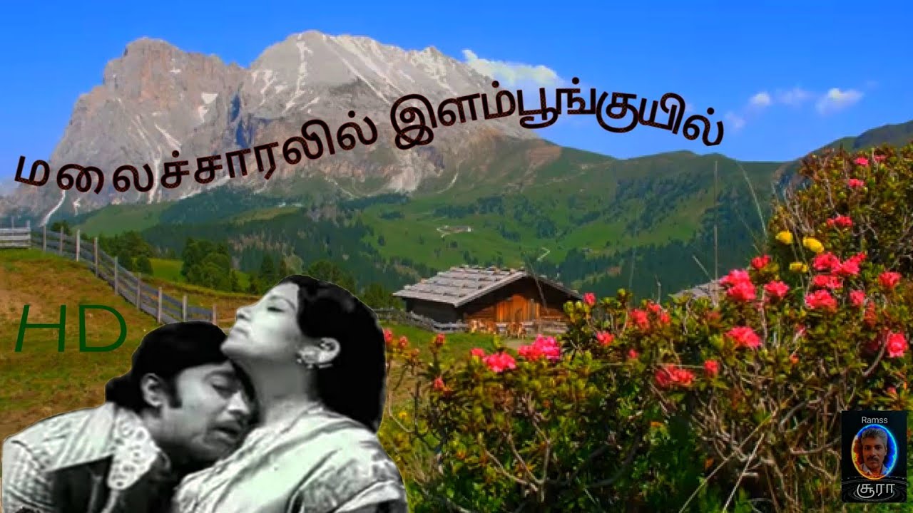 Malai Saaralil Song Lyrics | Oru Kudumbathin Kathai | K. J. Yesudas, B. S. Sasireka