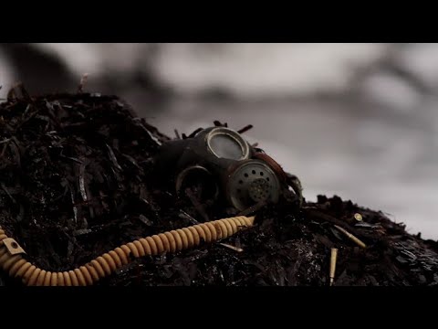 Insanity (2015) | Short Film | Experimental, War, Drama