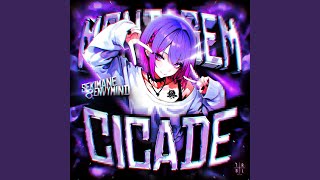 Cover art for MONTAGEM CICADE