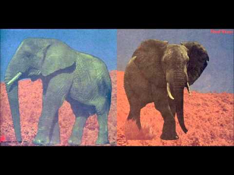 download lagu mp3 mp4 Food Brain 1970 Social Gathering, download mp3 Food Brain 1970 Social Gathering free download, download mp3 Food Brain 1970 Social Gathering