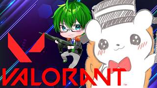 【VALORANT】円環部で久々のヴァロやるぞおおおおお！！！