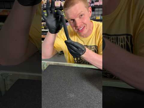 This thing is NEXT LEVEL 😳👍 #saber #hotknife #focus #shorts