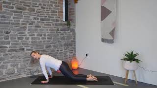 Vinyasa and chaturanga turorial