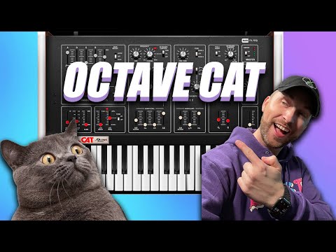 NEW Octave Cat synthesizer by Cherry Audio’s is...?