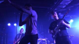 Good Tiger - Aspirations (Upstate Concert Hall)