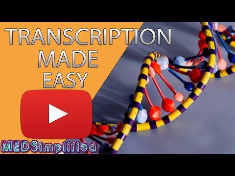 Transcription Made Easy- From DNA to RNA (2019)