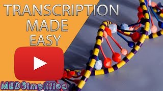 Transcription Made Easy- From DNA to RNA (2019)