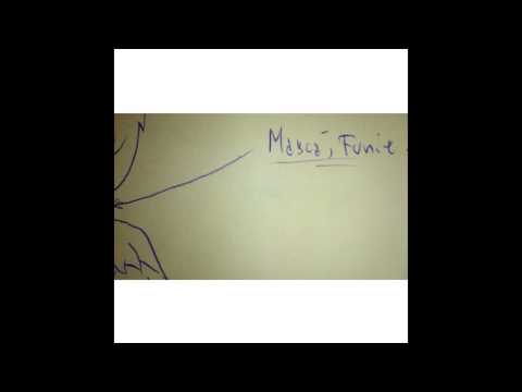 frateleNORD - era marfă gogan cu bocaseca