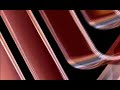The Destruction Of Roadshow Entertainment 1995 Logo