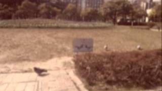 Brian Eno & Harold Budd - The Chill Air