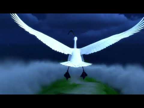 The Swan