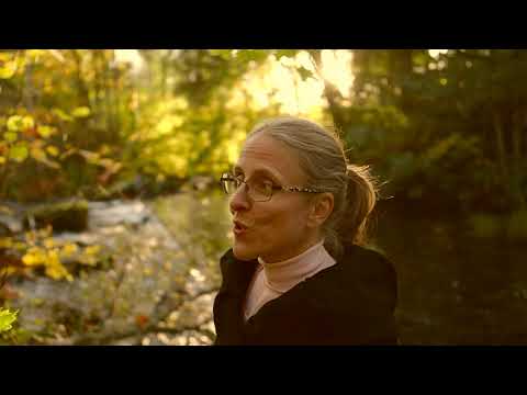 Beathe Krueger - Retfærdiges lys bryder frem