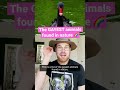 The Gayest Animals Found In Nature Shorts