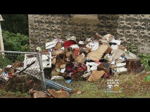 Hoarding Task Force To Be Called In After Fire At Ross Twp. Home