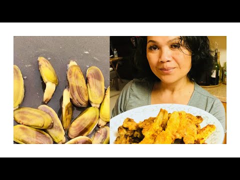 Pan Fried razor clams as an appetizer.