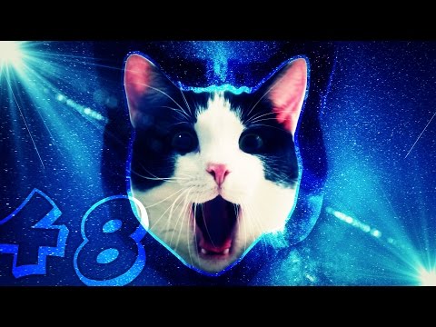 F*CKIN VINES #48 - OH SHIT