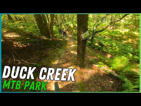 A Hidden Gem! - Duck Creek MTB | Alstonville NSW | MTB POV (4K)