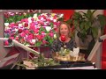 Tulpen uit Flevoland!