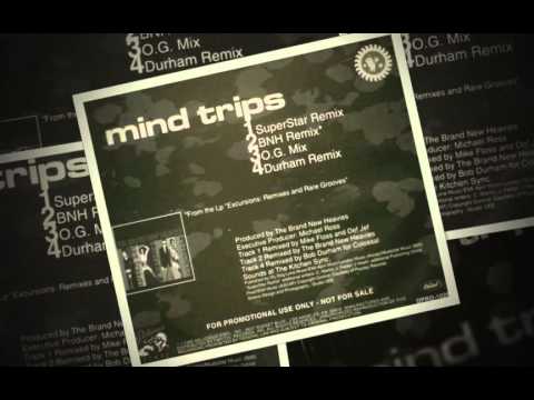 The Brand New Heavies - Mind Trips (BNH Remix)