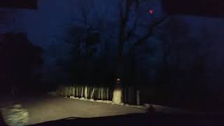 preview picture of video 'Night driving in the valley of panna national park'