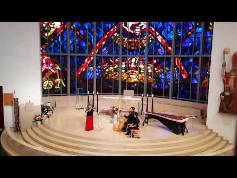 [Concert] Anne de Boysson - METAMORPHOSE played by Elisabeth Möst & Christoph Bielefeld - 2nd mvmt