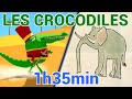 Ah les Crocodiles - Les Patapons
