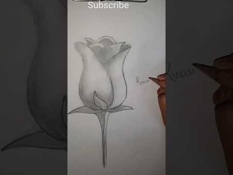 #beautiful #flower #shorts # drawing by RUWAIDA MUJEEB...SUBSCRIBE MY CHANNEL #