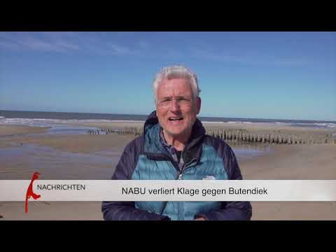 Windpark Butendiek: Nabu verliert Prozeß vor OVG Münster