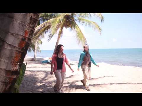 Wood Thrush Connection Official Trailer