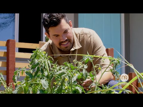 Starting a Home Garden - Official Trailer | Workshop | Magnolia Network