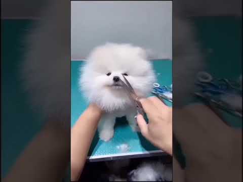 Mere buggu oyee....tenu love you.... Miss you.... Kiss you....!