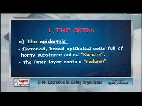 أحياء لغات الصف الثاني الثانوى 2019 (ترم 2) الحلقة 1 - CH.4: Excretion in Living Organisms