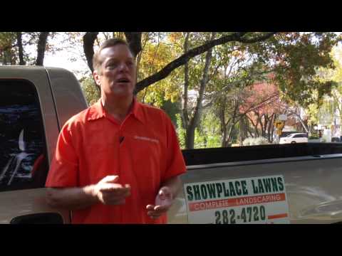 download lagu mp3 mp4 Texas Lawn Service, download lagu Texas Lawn Service gratis, unduh video klip Texas Lawn Service