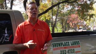 Lawn Care & Gardening Tips : How to Grow Grass in Texas