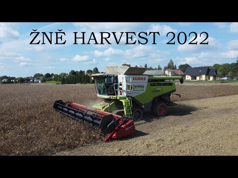 ŽNĚ  SKLIZEŇ 2022  SOJI Claas Lexion 770TT New holland CX 8.85