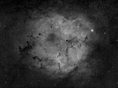 Insane Creatures VS Ivanelic - Alien Dreams