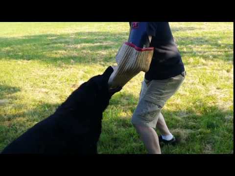 Urf Z Jirkova dvora 10 years old