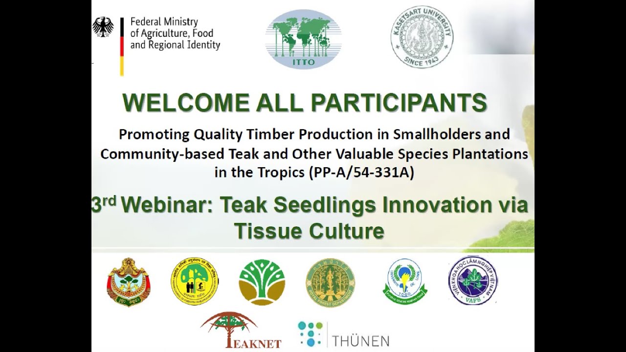 Teak seedlings innovation via tissue culture - ITTO/BMLEH Webinar 03