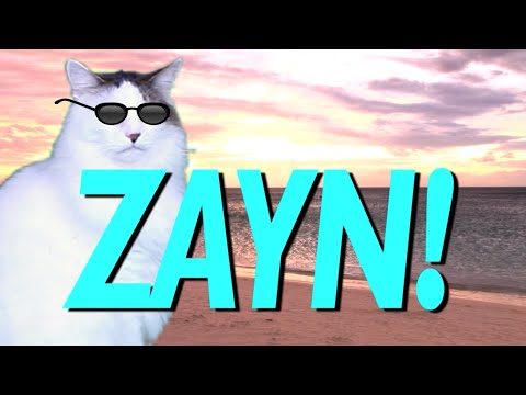 HAPPY BIRTHDAY ZAYN! - EPIC CAT Happy Birthday Song